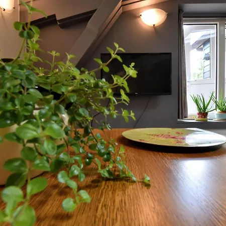 Modern In With River Nearby *