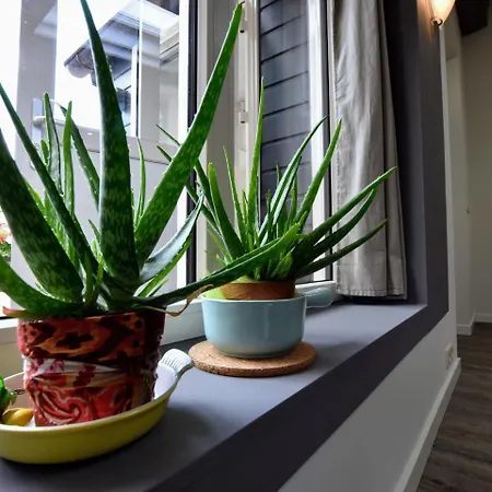Modern In With River Nearby Apartamento *